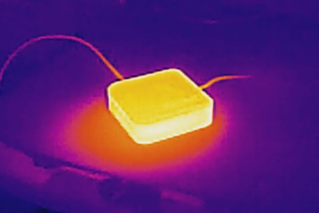 The crucial role of temperature stability in seed germination