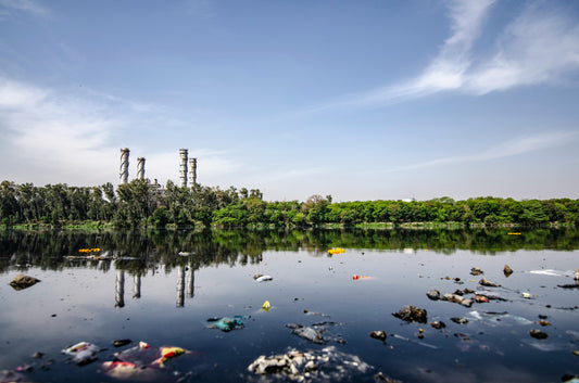 The Devastating Effects of Plastic