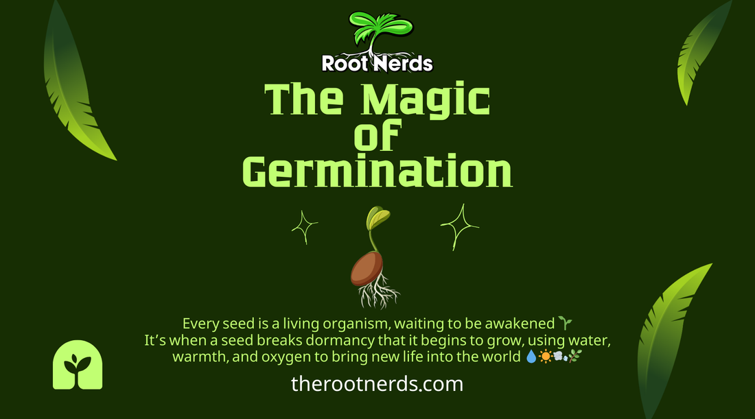 The Magic of Germination