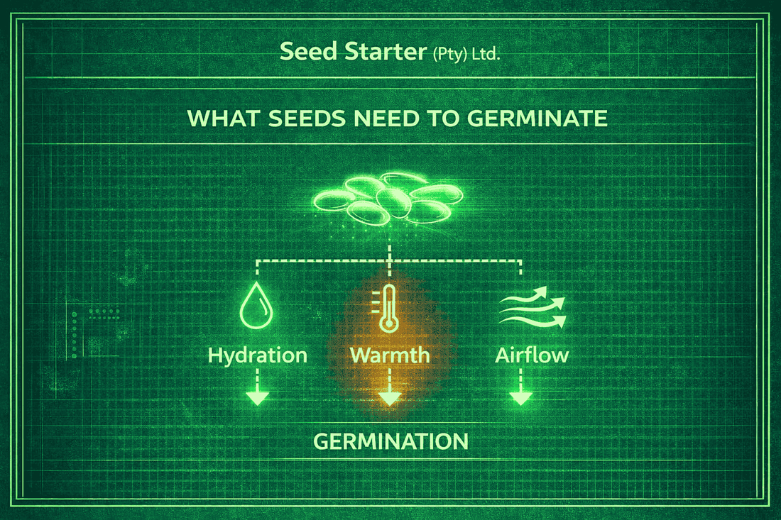 Germination Temperature: The Science Behind Faster, More Reliable Seed Starting