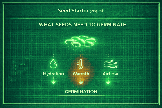 Germination Temperature: The Science Behind Faster, More Reliable Seed Starting
