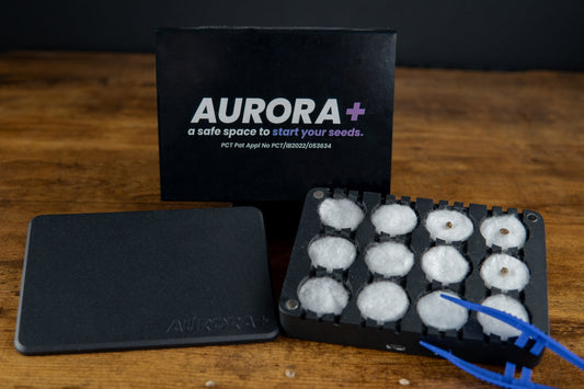 Aurora+ Seed Germination Kit