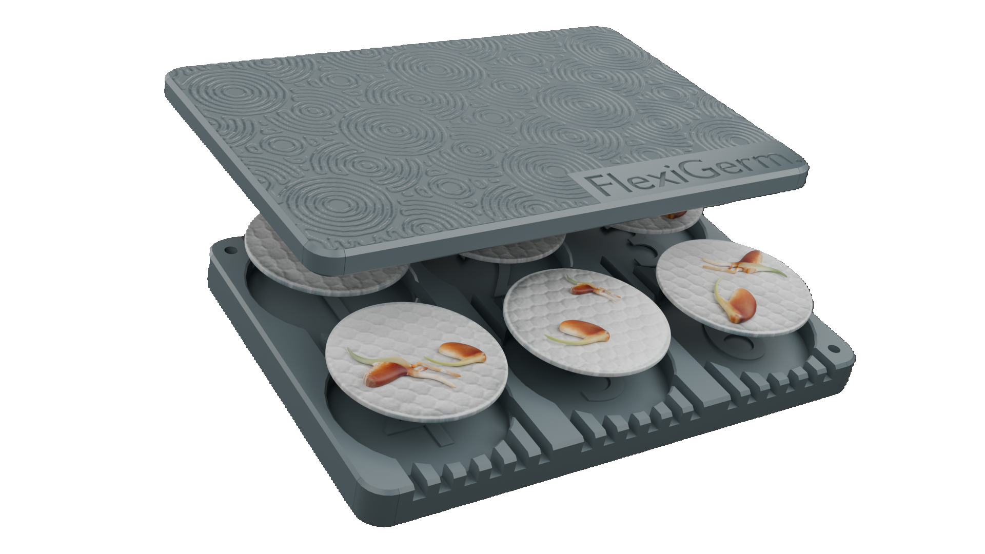 A green FlexiGerm seed starter with a geometric pattern on the lid and the brand name visible. Showing multiple pods with seeds germinating on cotton pads