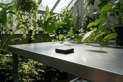 Table with a black object in a greenhouse setting