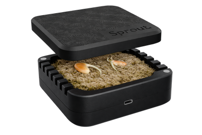 Sprout Silicone Germination Chamber