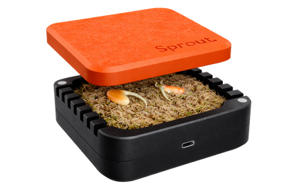Sprout + Heat Pack Seed Germination Kit