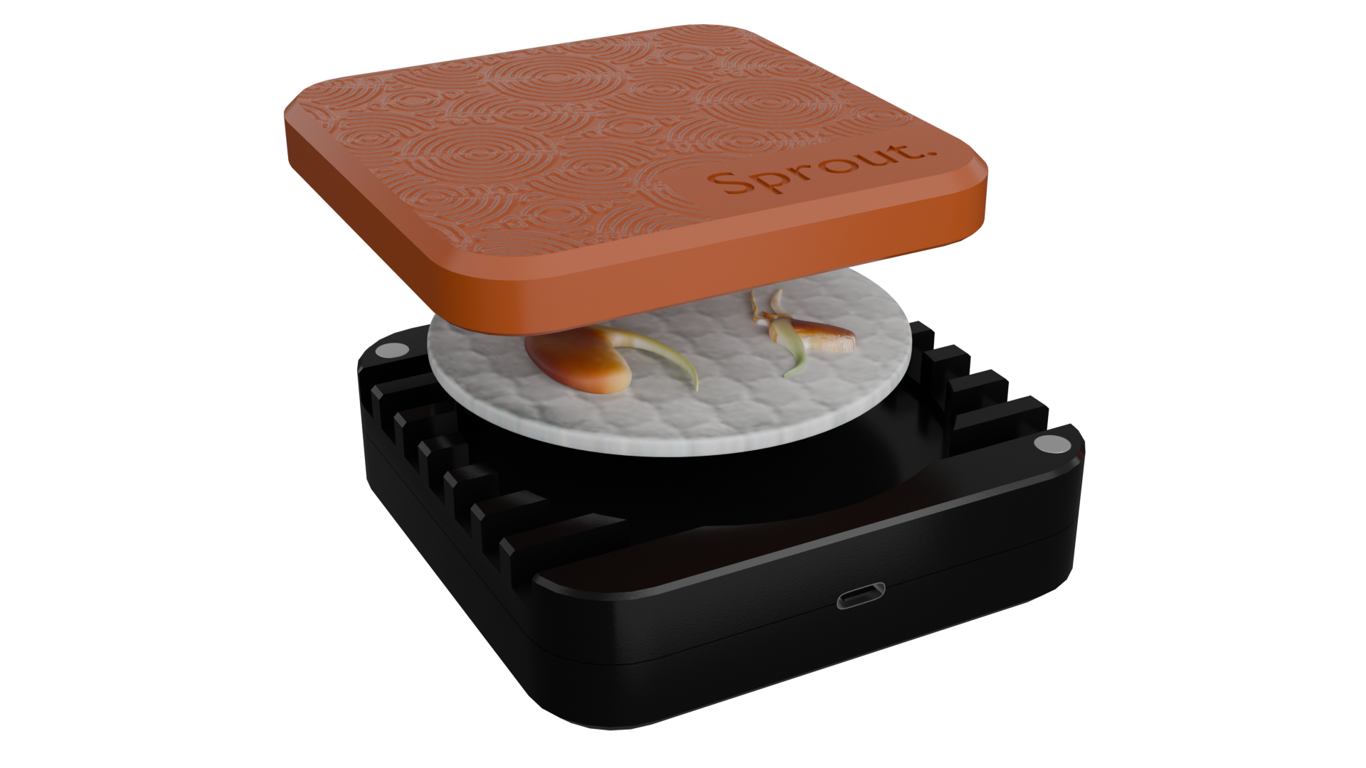 Orange and black silicone seed germination chamber with a cotton pad and seeds inside.