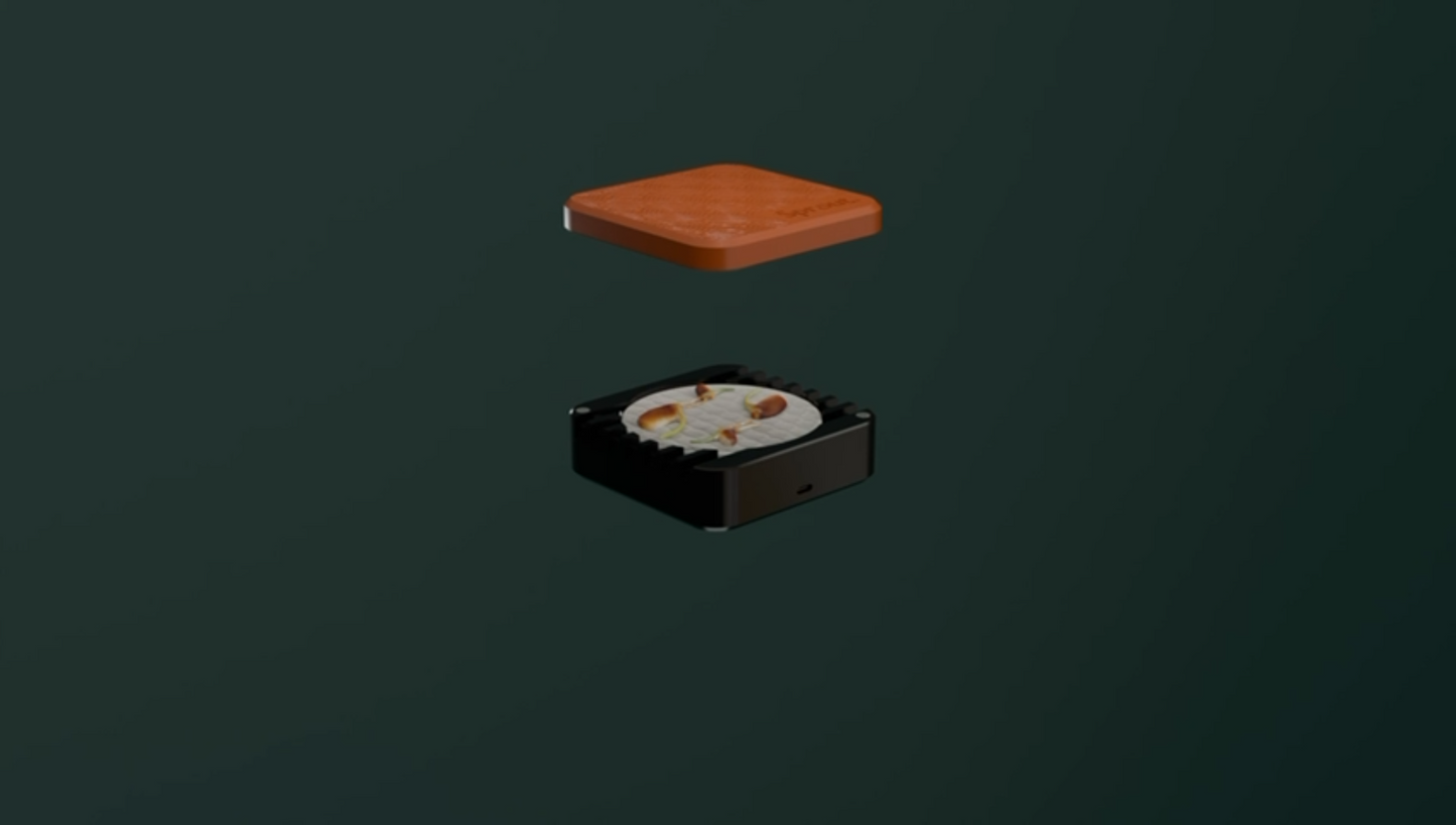 Orange silicone lid hovering above a black silicone seed germination tray with a cotton pad and seeds inside.