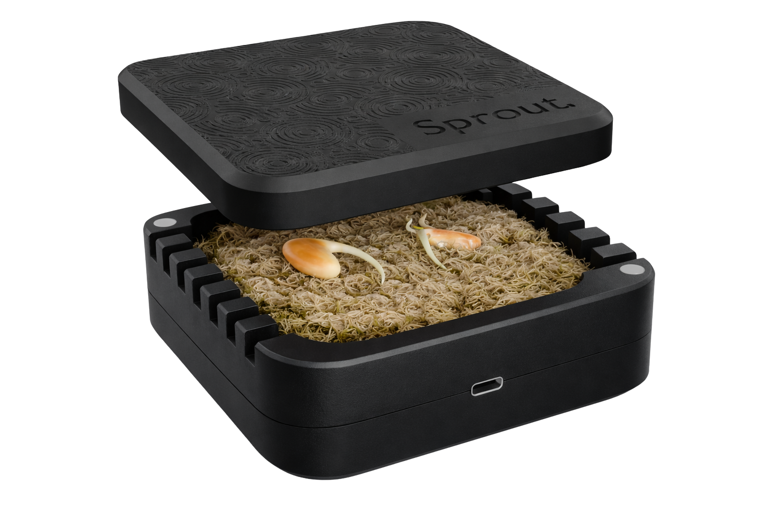 Black silicone seed germination chamber with sphagnum moss and seeds inside