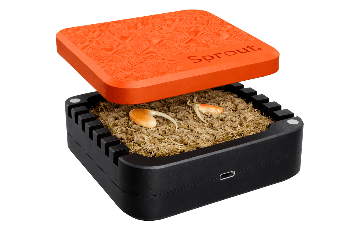 Orange and black silicone seed germination chamber with sphagnum moss and seeds inside