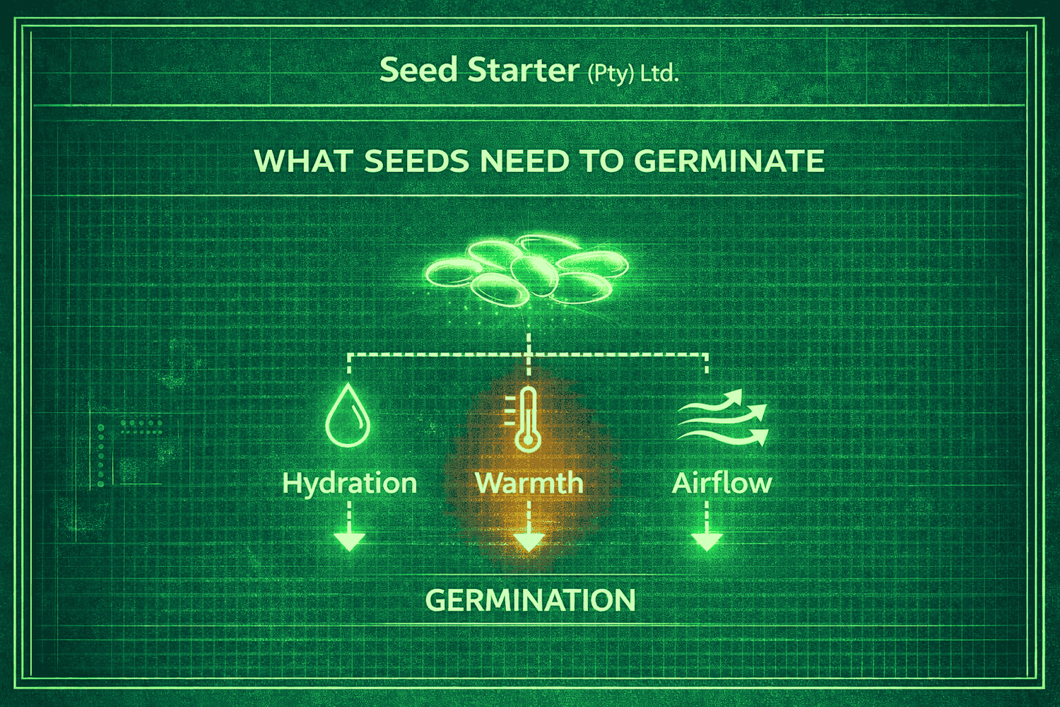 Diagram showing what seeds need to germinate on a green blueprint background with 'Hydration Warmth Airflow' at the center.