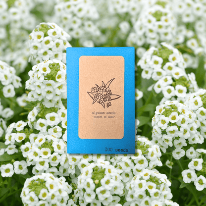 Alyssum Seeds