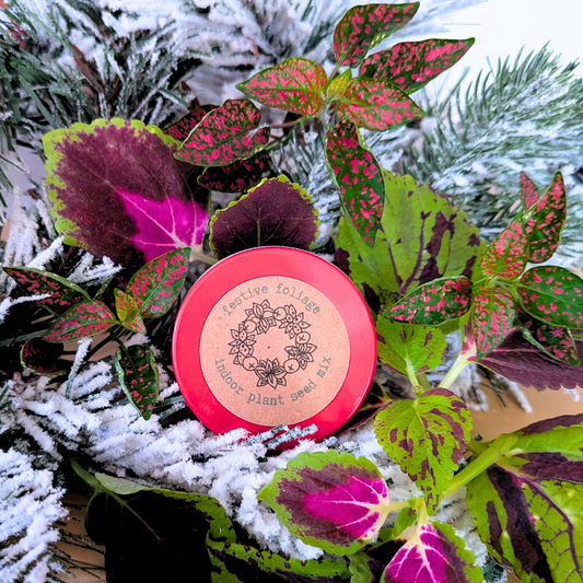 "Festive Foliage" Seed Mix