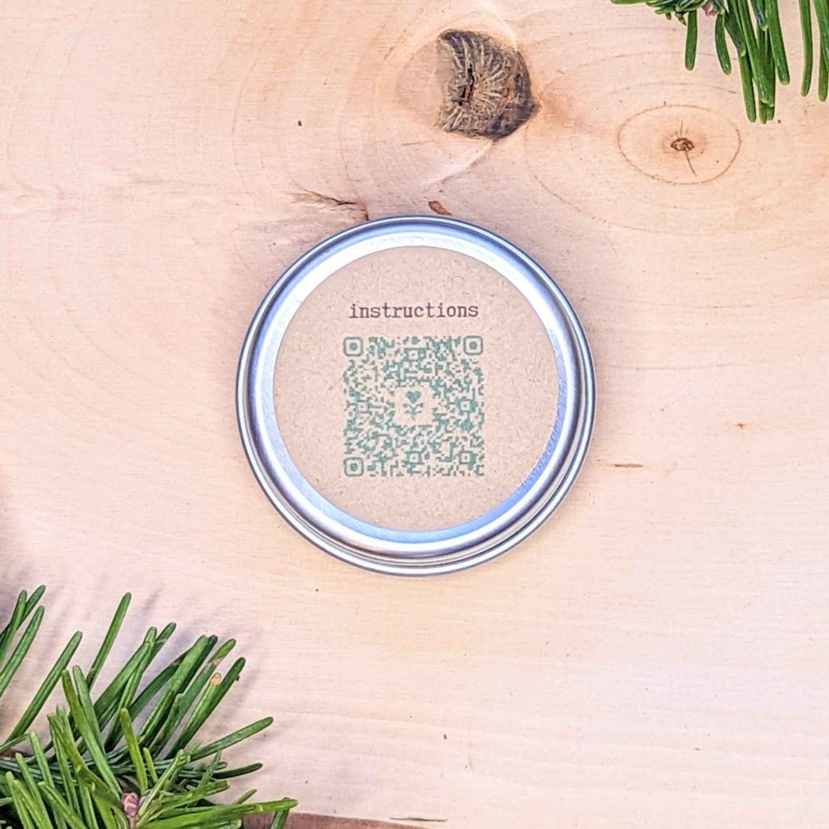 Holiday Seed Ornament