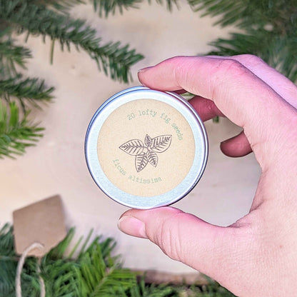 Holiday Seed Ornament