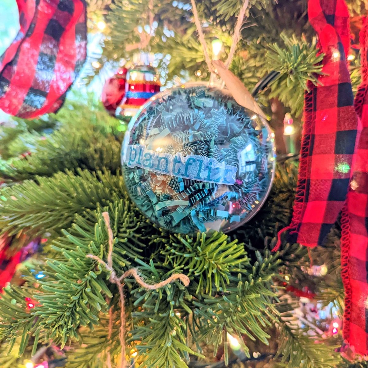 Holiday Seed Ornament