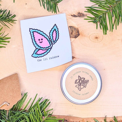 Holiday Seed Ornament