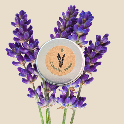 Lavender Seeds