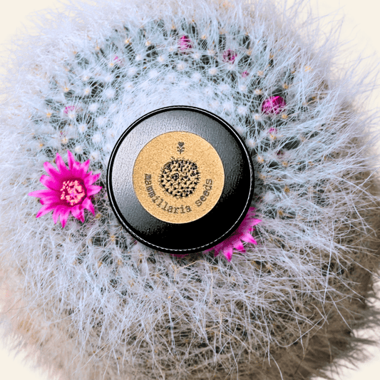 Mammillaria mix "Pincushion Cactus" Seeds