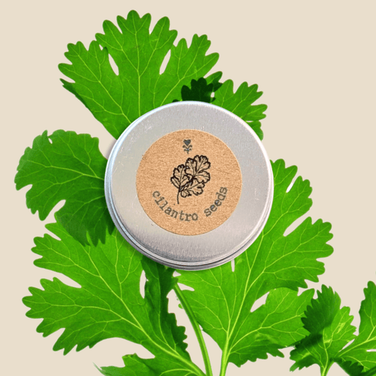 Organic Cilantro Seeds