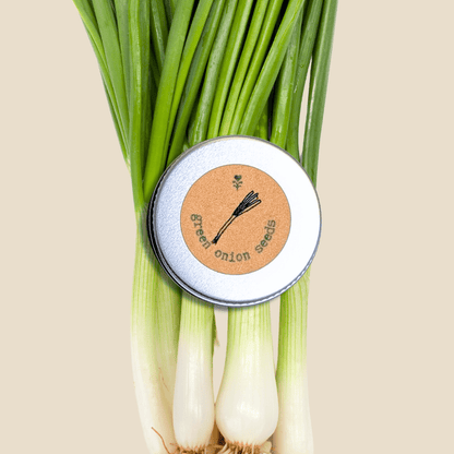 Organic Green Onion Seeds